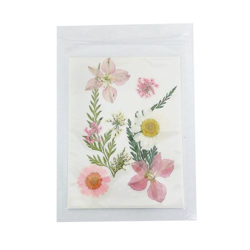 Pressed Dried Flower Colorful Sheet 1pc | Alberta Bead Store