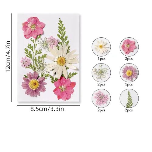 Pressed Dried Flowers Hot Pink 1 Sheet 